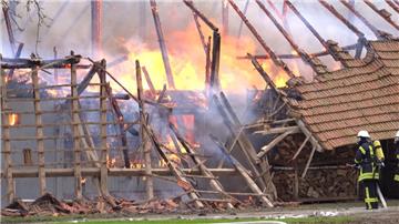 Fast 700 Schweine (Symbolfoto) sind bei einem Brand in Harpstedt (Kreis Oldenburg) ums Leben gekommen.