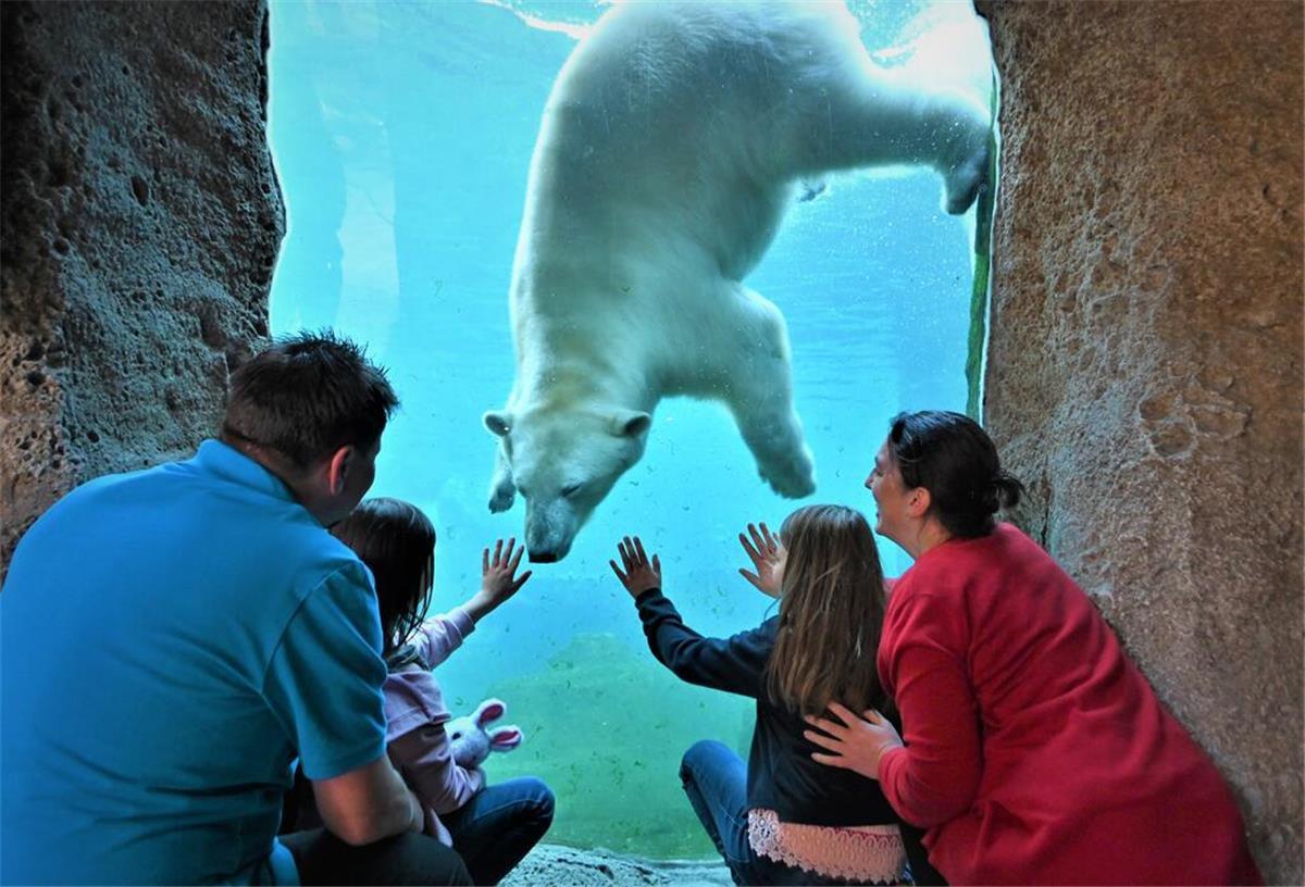 Zoo Am Meer