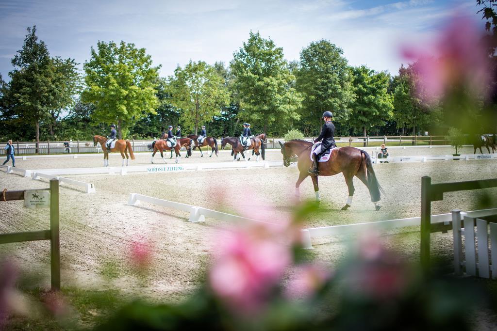 Featurefotos vom Turniergelände zwischen Abreiteplatz, Springen und Dressur mit ...