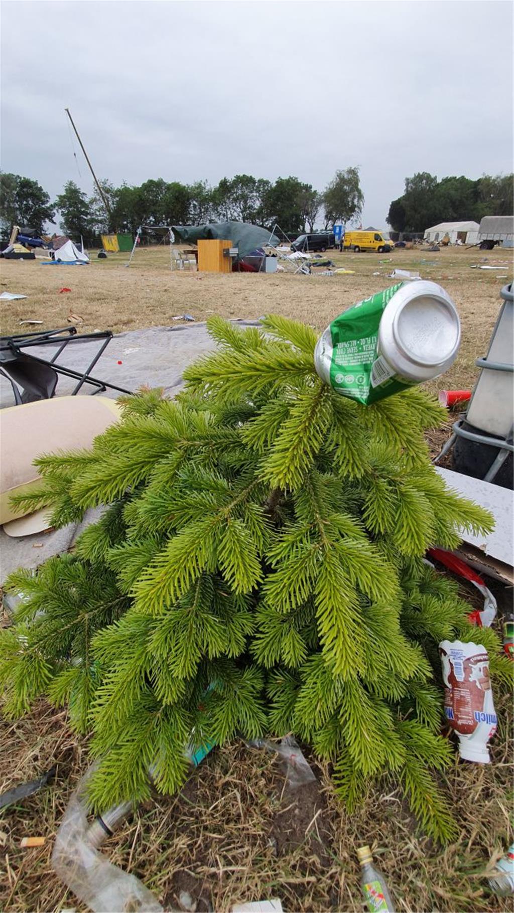 Festivalhumor: Weihnachtsbaum mit Bierdosenspitze. Foto: Leuschner