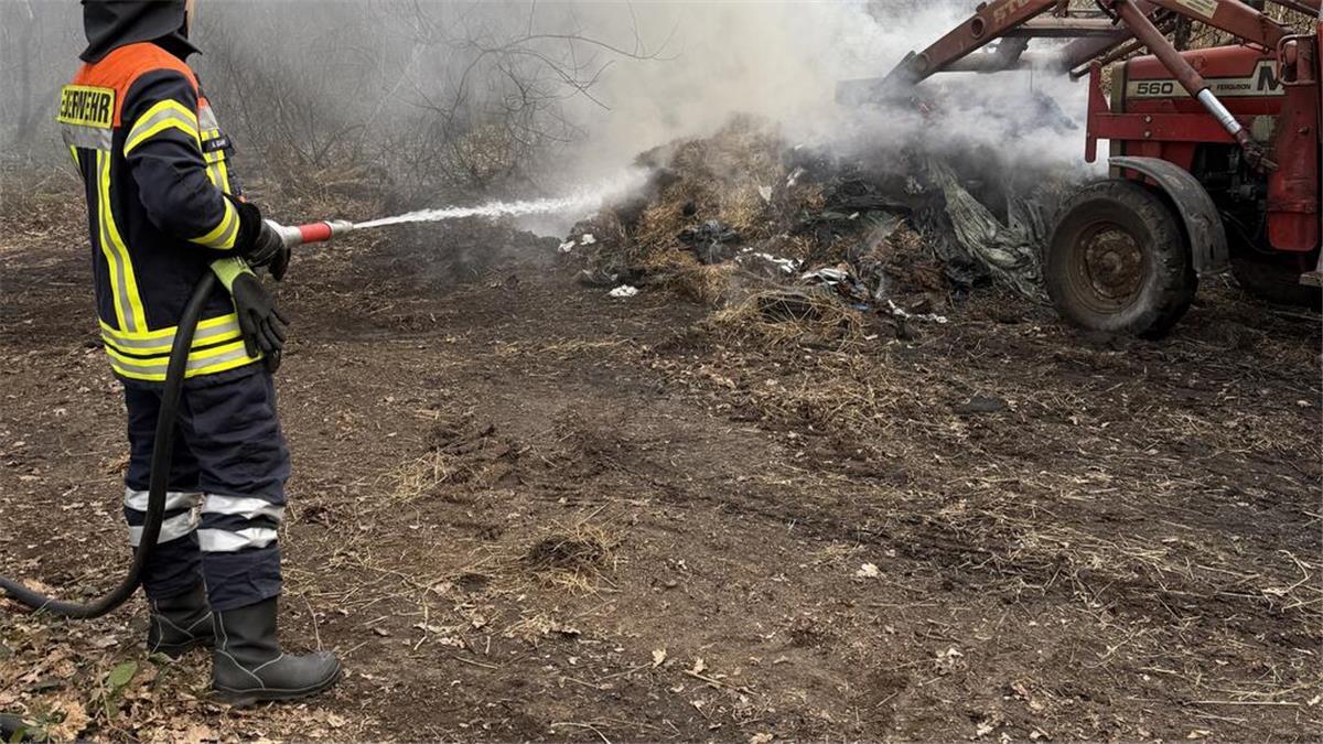 Feuerwehreinsatz im Wald: Unrat-Brand sorgt für dichte Rauchwolken Die Feuerwehr bei den Löscharbeiten