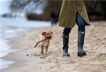 Fiffi darf weiter am Weserstrand in Sandstedt laufen. Allerdings nicht so. Hunde müssen dort angeleint sein.