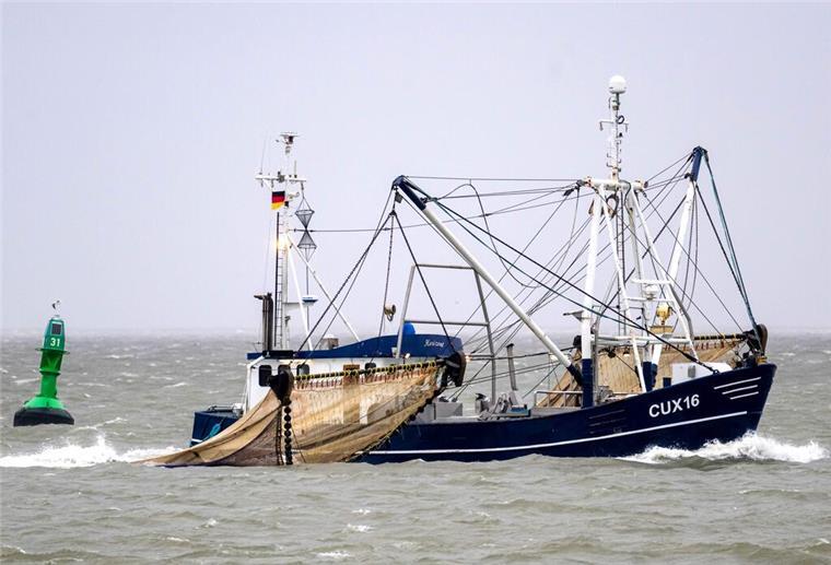 Schleppnetz-Verbot für Fischer bringt auch Tourismus in Gefahr Ein Kutter fischt nach Krabben.