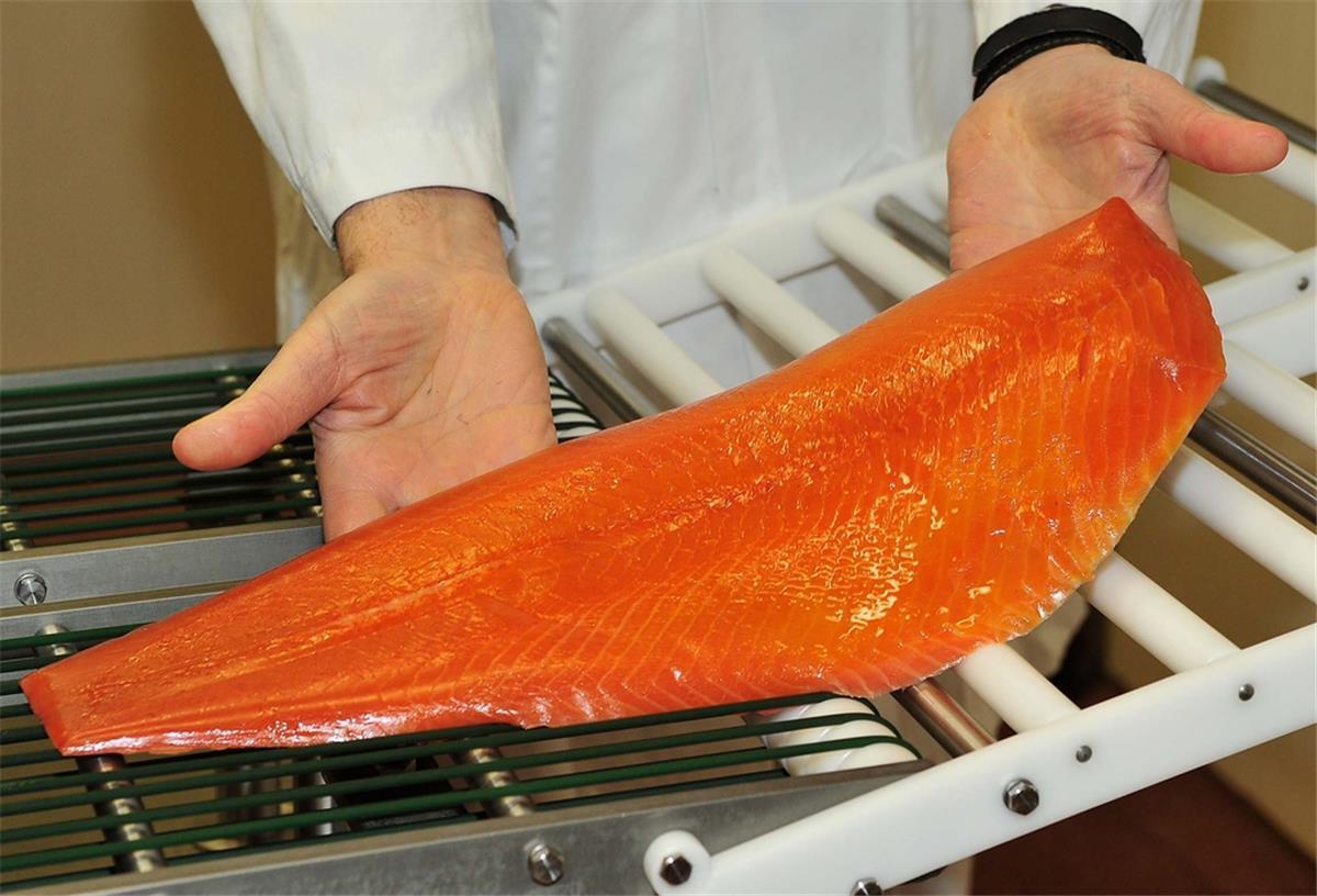 Von Aal bis Kaviar – frischer Fisch online! Lachs