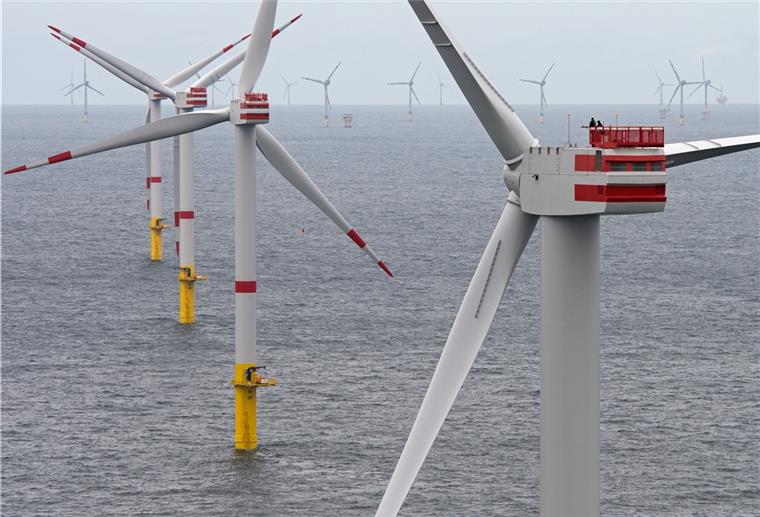 Windräder im Meer.