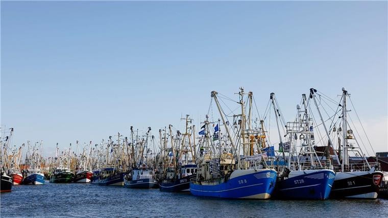 Existenzsorgen: Perspektive für Küstenfischer? Fischerboote liegen nach einer Kutterdemonstration anlässlich der Agrarministerkonferenz im Hafen.