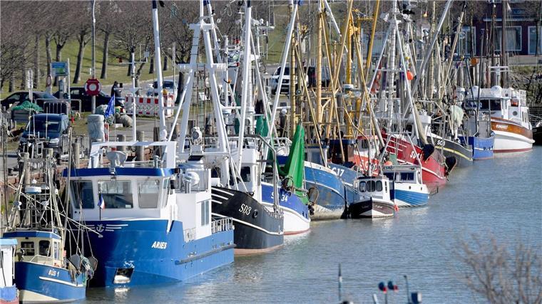 Fischkutter liegen aneinandergereiht im Hafen.