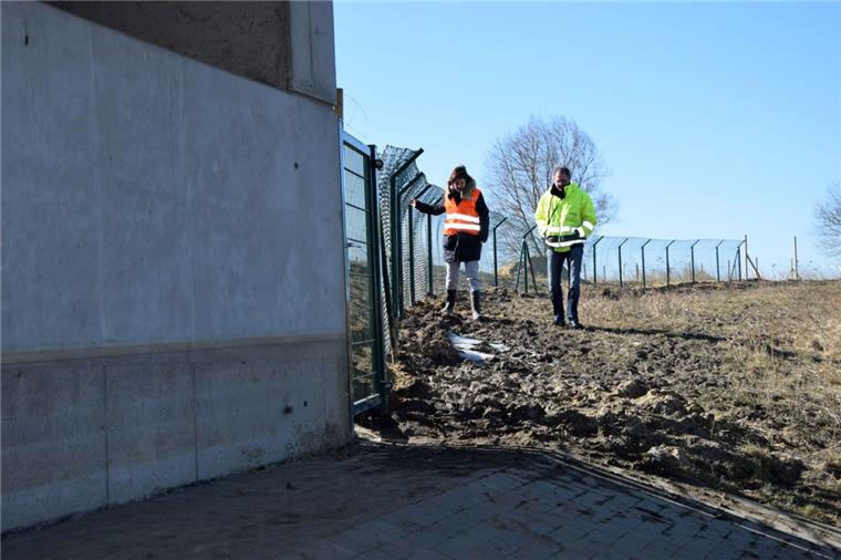 Fischotter schwimmen nicht unter Brücken hindurch, sondern gehen vorher an Land. Damit sie nicht auf die Straße gelangen, wurden am Ufer der Lune in Bremerhaven beidseitig Leitzäune aufgestellt und unter der Brücke außerdem überflutungssichere Wege angelegt.