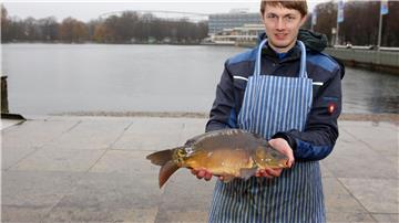 Fischverkäufer Felix Stähler hält einen Maschsee-Spiegelkarpfen in den Händen.