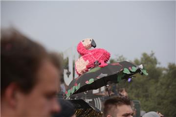 Flamingos sind die neuen Einhörner. Foto: Maffiotte