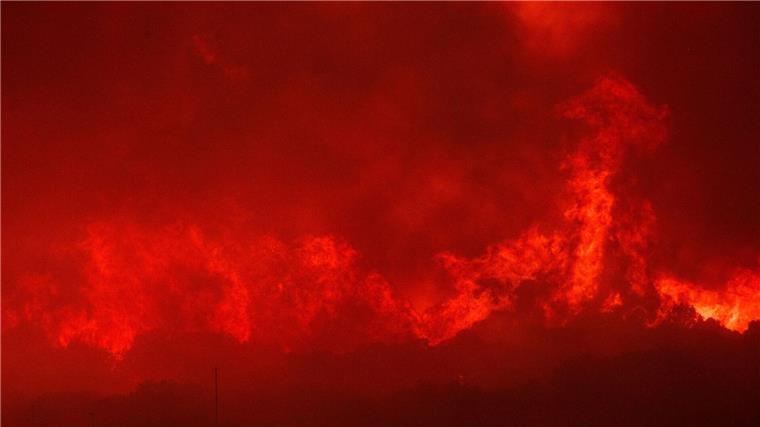 Flammen eines Waldbrandes steigen auf.