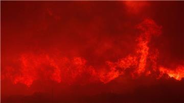 Flammen eines Waldbrandes steigen auf.