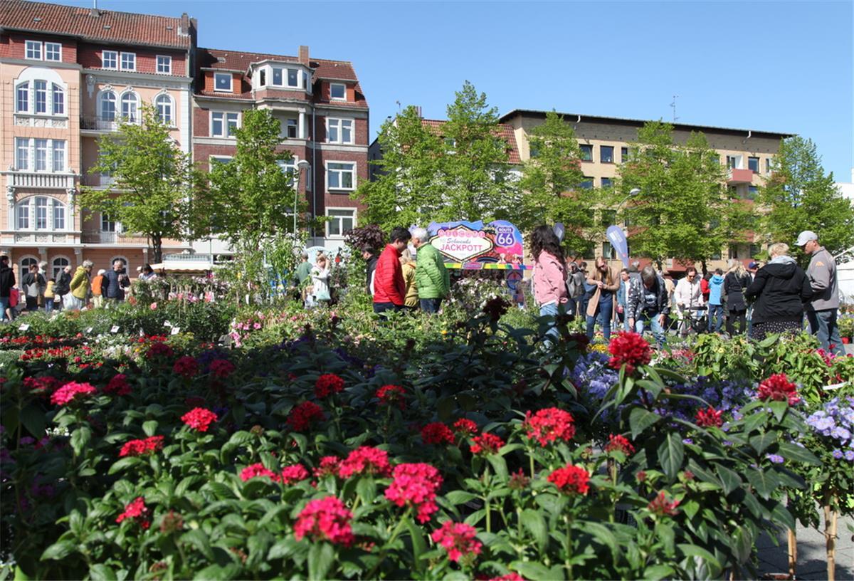 Flanieren durch ein Meer von Blumen: Die Besucher des Geestemünder Blütenfestes.