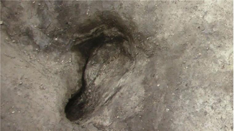 Forscher haben die vermutlich ältesten bekannten Fußspuren von Urmenschen in Deutschland entdeckt.