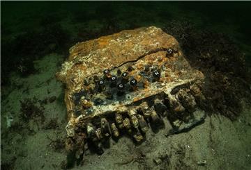 Enigma-Chiffriermaschine aus dem 2. Weltkrieg liegt auf dem Grund der Ostsee