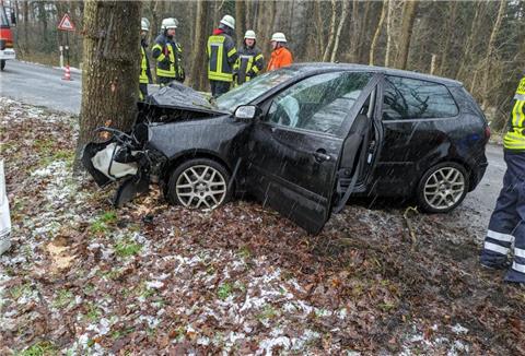 Foto des Volkswagens, der gegen einen massiven Baum gekracht ist.