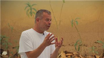 Fotograf Wolfgang Tillmans bereitet eine große Ausstellung in Dresden vor. (Archivbild)