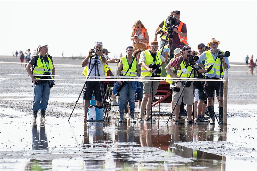 Fotografen - Profis und Amateure - im Einsatz. Foto: Adelmann