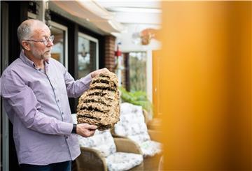 Frank Krein zeigt ein verlassenes Hornissennest. Diese Insekten bauen ihre kunstvollen Nester aus zerkleinerten, eingespeichelten Holzfasern.