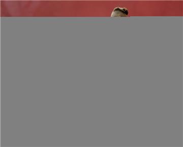 Frankfurts Marius Wolf (rechts) wird im Zweikampf von Julian Weigl aus Dortmund der Ball abgenommen.