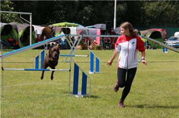 Frauchen muss beim Agility im gleichen Tempo mitlaufen wie der Hund. 