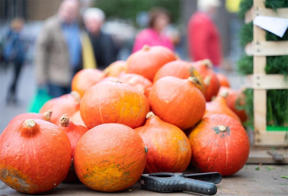 Bunter Herbstmarkt: 100.000 Besucher und bunte Aktionen erwartet Freut euch auf Handwerkskunst, Ernteaktionen und viele Stände.