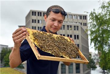 Freut sich für die Bienen über ihr neues Zuhause in Geestemünde: Stadtimker Andreas Bredehorn