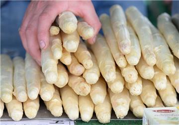 Frischer Spargel - ein (derzeit teurer) Genuss.