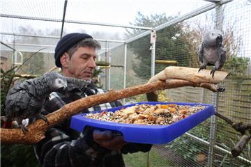 Frisches Bio-Obst und Quellfutter: Michael Habermann tischt den Papageien ein Fr...