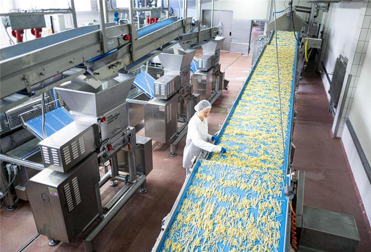 Mehr Produktion, mehr Jobs: Frosta erweitert Werk in Bremerhaven 13.02.2025, Bremen, Bremerhaven: Gefrorene Nudeln werden im Frosta-Werk in Bremerhaven verarbeitet. Der Tiefkühlkosthersteller Frosta stellt die Geschäftszahlen für das vergangenen Jahr vor. Foto: Sina Schuldt/dpa +++ dpa-Bildfunk +++