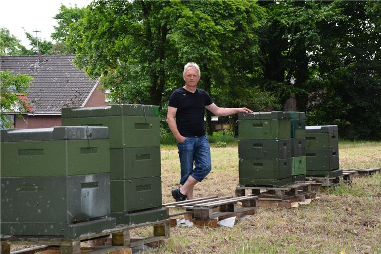Dank Zeugenhilfe: Sechs gestohlene Bienenkästen aus Geestland wiedergefunden Fünf der sechs wiedergefundenen Kästen mit Bienen hat Jürgen Meyer im Flögelner Pfarrgarten aufgestellt.