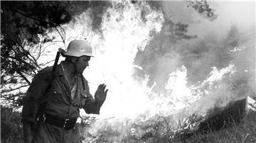 Fünf Feuerwehrleute starben, Tausende Hektar Wald brannten: 1975 richtete die Waldbrandkatastrophe in der Lüneburger Heide verheerende Schäden an. (Archivfoto)