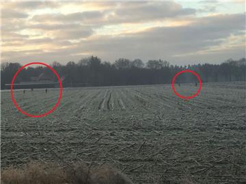 Fünf Wölfe (rote Kreise) nähern sich dem Hof der Familie Harlos in der Malse in Frelsdorf (Gemeinde Beverstedt).
