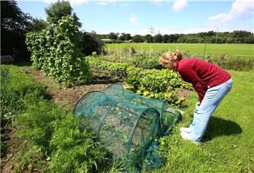 Für Britta Köster ist der Gemüsegarten das Herzstück des Betriebs.