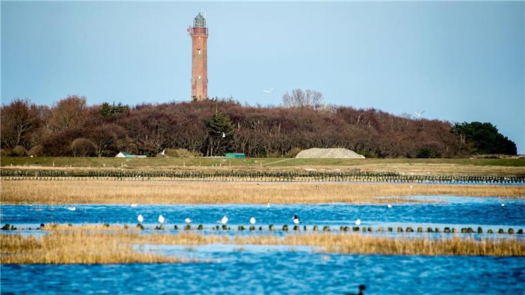 Für die Anbindung der Offshore-Windparks unterqueren Stromkabel die Insel Norderney. (Archivbild)