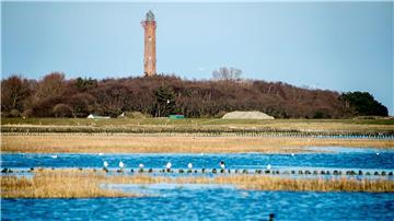 Für die Anbindung der Offshore-Windparks unterqueren Stromkabel die Insel Norderney. (Archivbild)