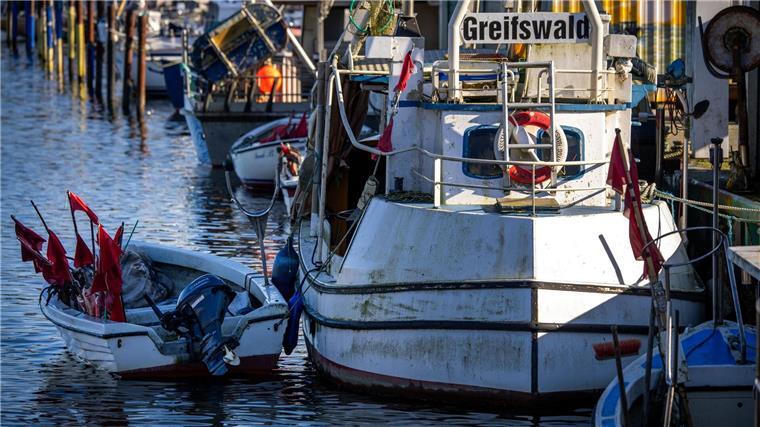 Für die Ostseefischer gibt es wegen der schlechten Entwicklung der Bestände im kommenden Jahr wohl nur wenig zu fangen (Archivbild).