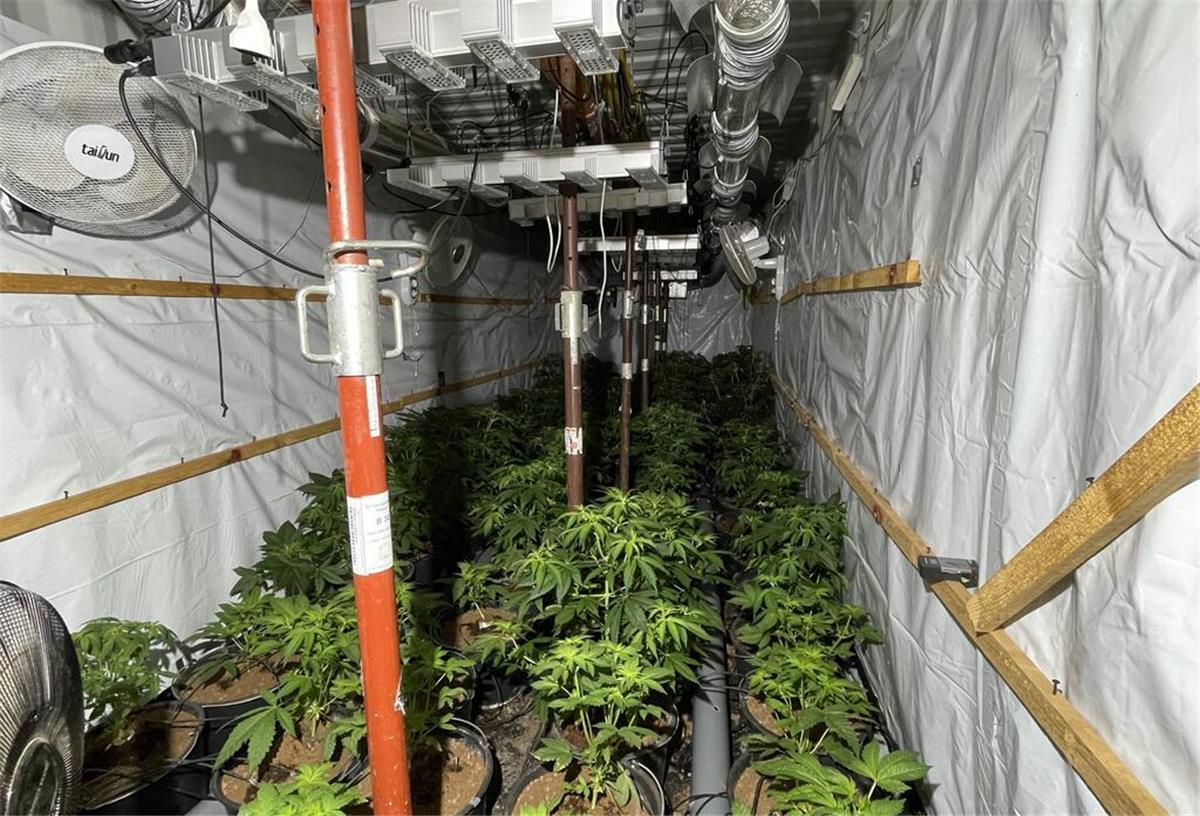 Polizei findet unterirdische Hanf-Plantage bei Stade Für die Plantage wurden zwei gestohlene Hafen-Container komplett vergraben.