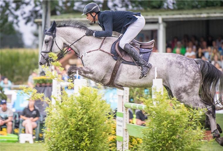 U25-Springreiter Elmlohe