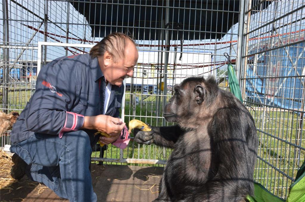 Für eine Banane macht Robby alles. Foto: Schoener