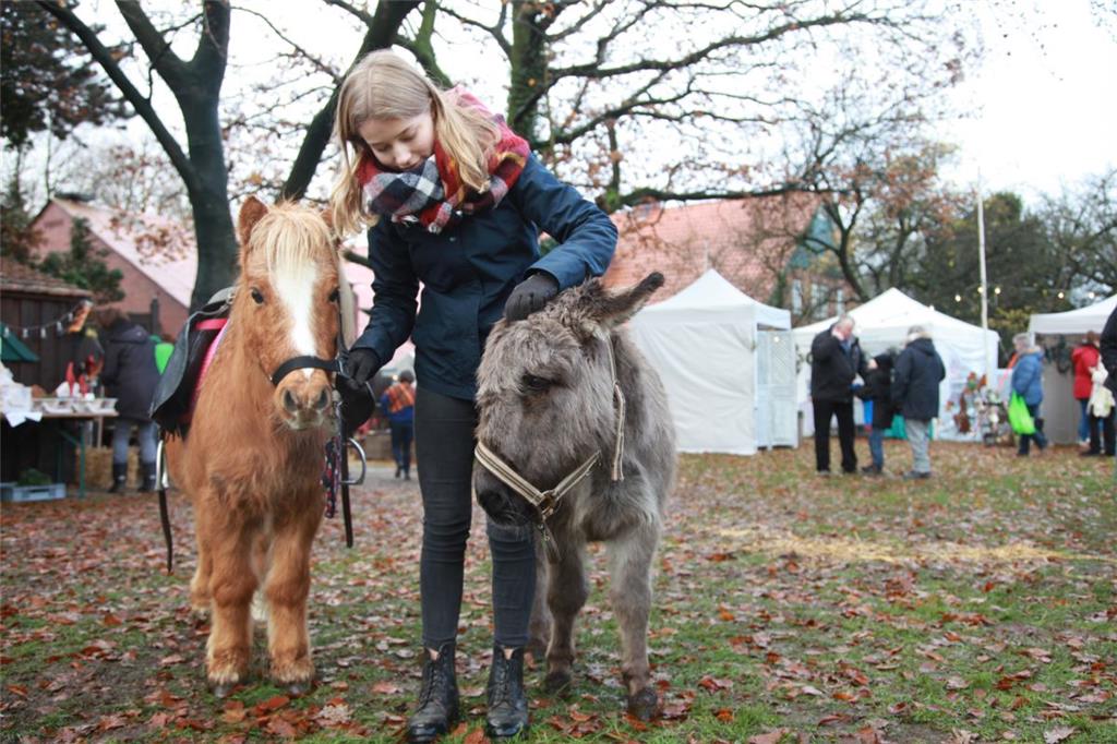 Für tierisch süße Akzente auf dem Debstedter Adventsmarkt rund um das Heimatmuse...