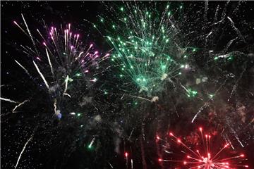 Für viele Menschen ist das Feuerwerk am Silvesterabend eine Freude. Tiere reagieren jedoch meist mit Panik auf das Spektakel.