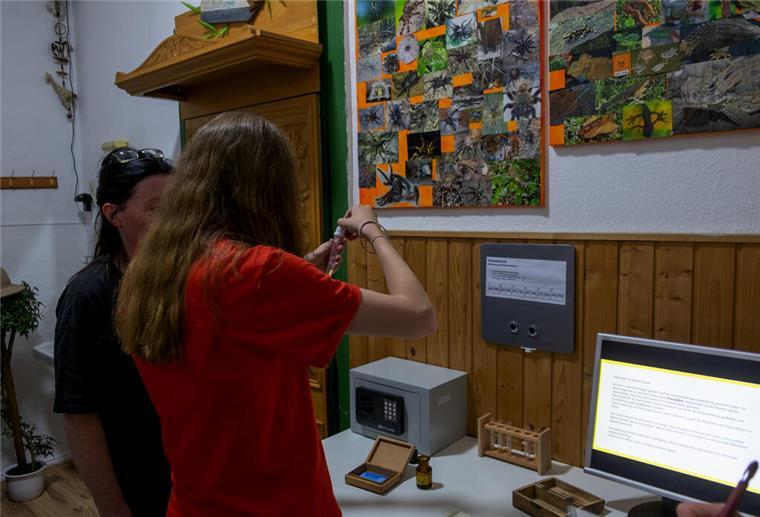 Mission: Im Dschungel dem schnöden Alltag entfliehen Erste Rätsel im Escape Room