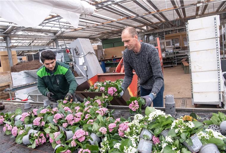 Niedersachsen: Kunden strömen in Blumenläden Gärtnereibetriebe dürfen seit heute wieder öffnen.