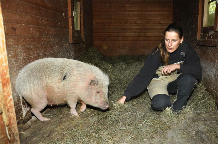 Lehe: Polizei "verhaftet" Minischwein im Schierholz Ganz schön groß: Nadine Bruns vom Tierheim Bremerhaven kümmert sich nun um das ausgebüxte "Minischwein".