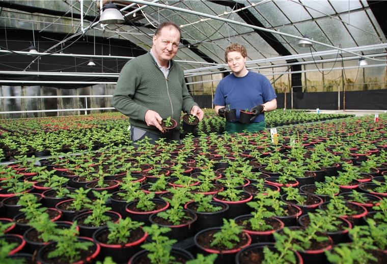Gartenbaumeister Uwe Ablaß und seine Tochter Katja kultivieren in den betriebseigenen Gewächshäusern in Debstedt unter anderem Verbenen mit dem torfreduzierten Substrat.