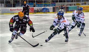 Gegen die Augsburger Panther haben die Fischtown Pinguins den Sieg noch aus der Hand gegeben.