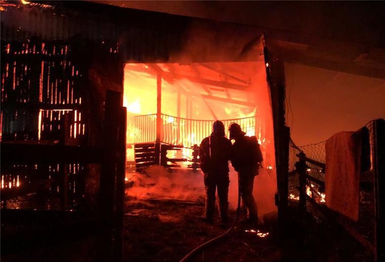 Ursache unklar: Großbrand mit 300.000 Euro Schaden Gemeindefeuerwehr Loxstedt Scheunenbrand