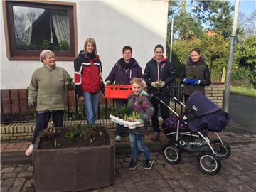Gemeinschaftlich ans Werk (von links): Käthe Witte, Anja Witte, Marrika Sties, Yvonne Prüsch und Tracy Zinnrose bepflanzten die Blumenkübel in der Alten Bahnhofstraße. Unterstützt wurden Sie dabei von Evelin Schütte (im Vordergrund). Hannah Prüsch im Kinderwagen schaute zu.  Foto Schoener
