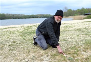 Gerd Filbrich hat am Stoteler See Sandbienen entdeckt.